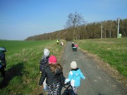 Ukliďme Česko - ukliďme cestu do lesa